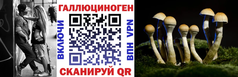 Галлюциногенные грибы MAGIC MUSHROOMS Купить закладки Саяногорск